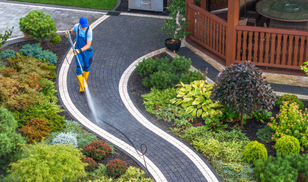 Best Sidewalk Pressure Washing  in Midland City, AL